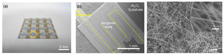 Figure 35