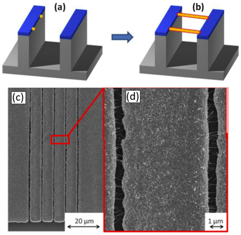 Figure 32