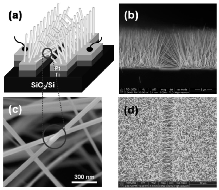 Figure 30