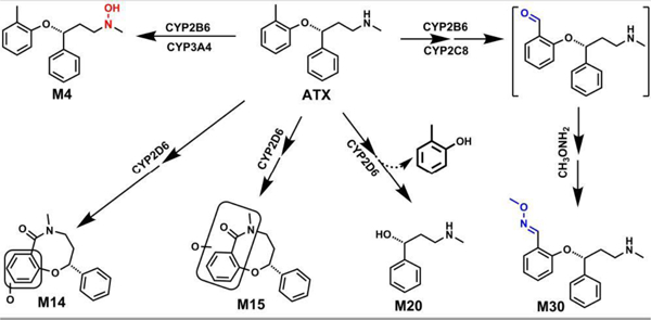 graphic file with name nihms-1616993-f0001.jpg