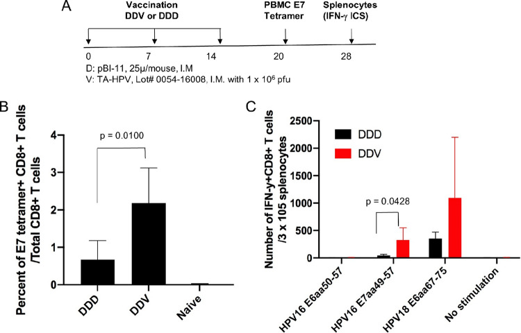 FIG 6