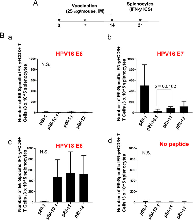 FIG 4