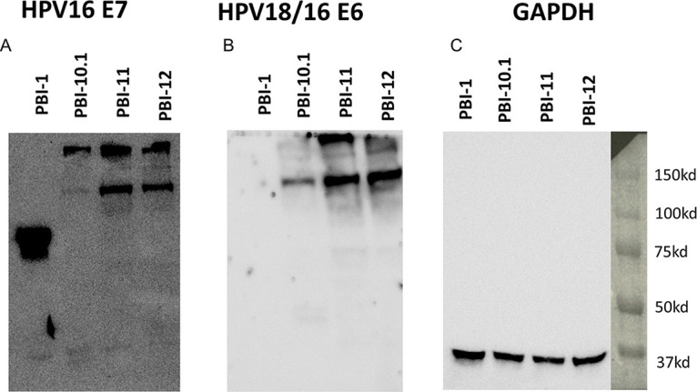 FIG 2