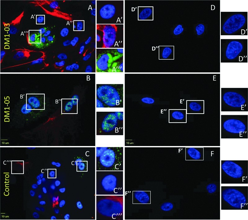 FIG. 7.