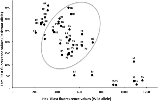 Fig. 1