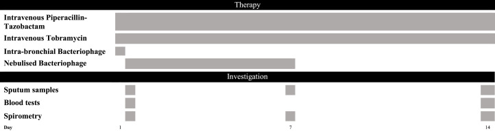 Fig 2