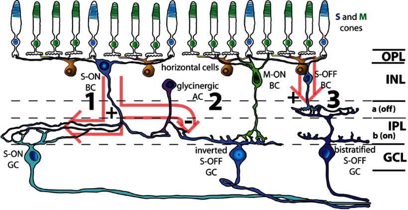 Figure 6.