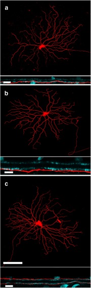 Figure 4.