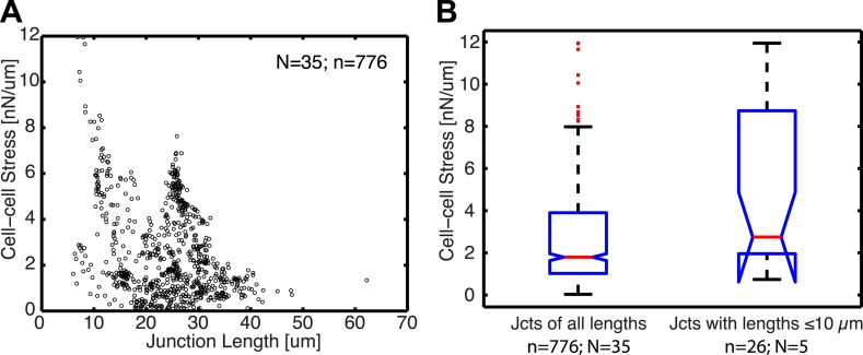 Figure 6—figure supplement 2.