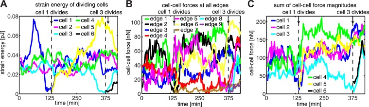 Figure 4—figure supplement 1.