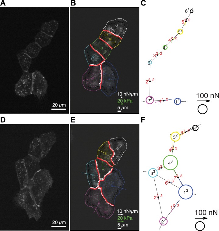 Figure 3—figure supplement 1.