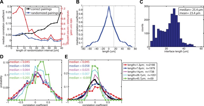 Figure 6—figure supplement 1.