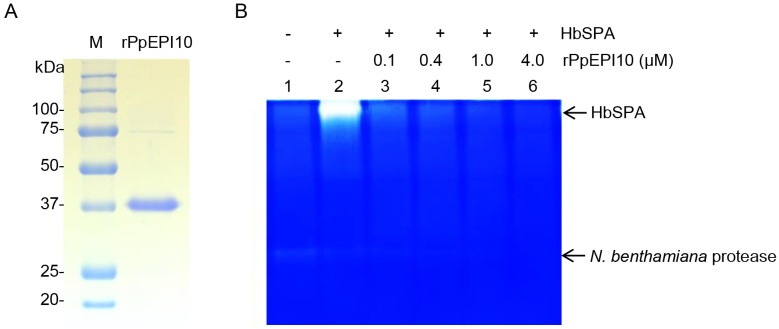 Fig 5