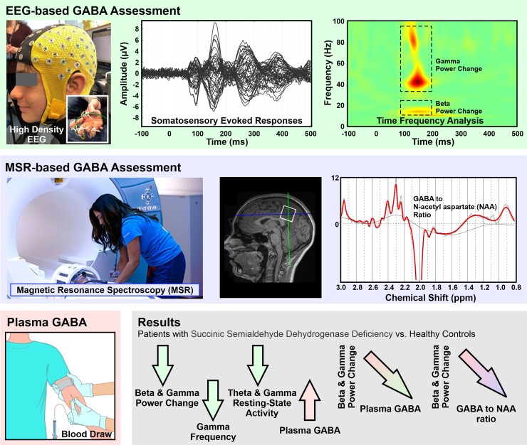 Graphical abstract