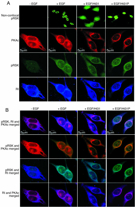 FIG. 7.