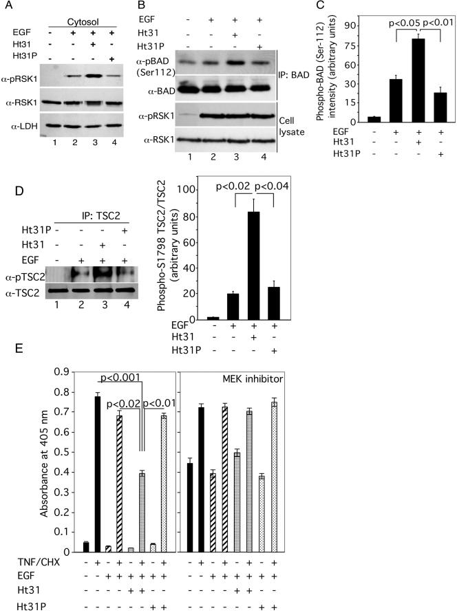 FIG. 8.