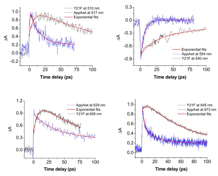 Figure 4