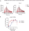 Figure 3—figure supplement 1.