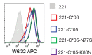 Figure 5—figure supplement 1.