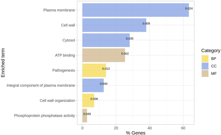 FIGURE 4