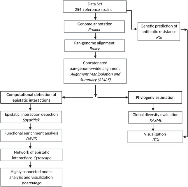 FIGURE 1