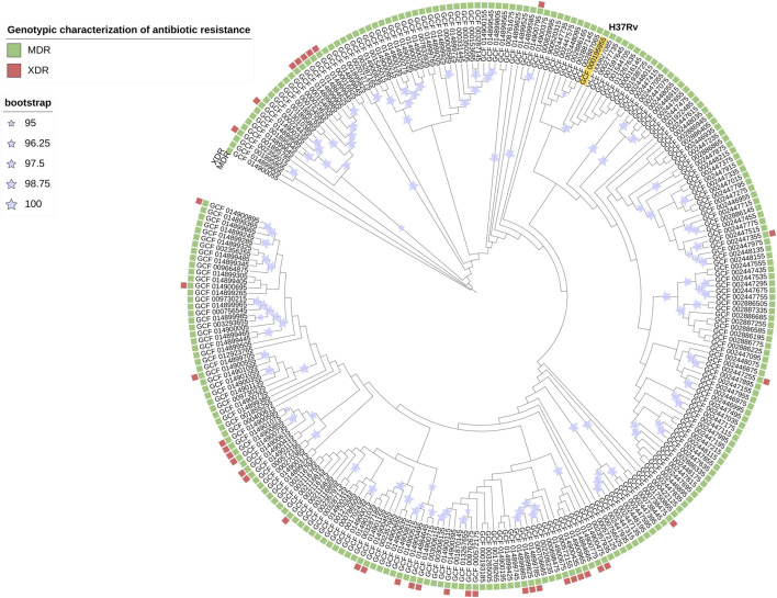 FIGURE 2