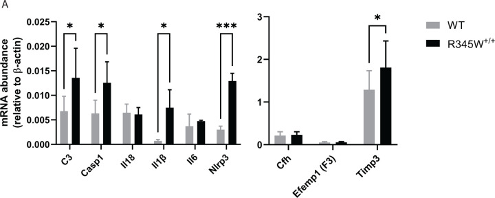 Fig 3.