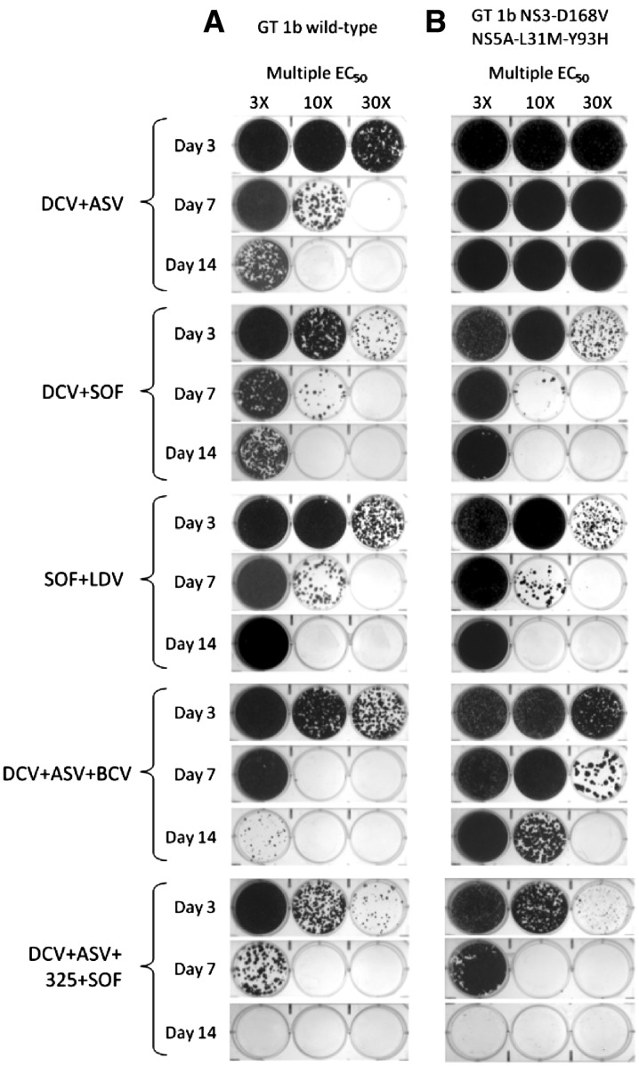 Fig. 1