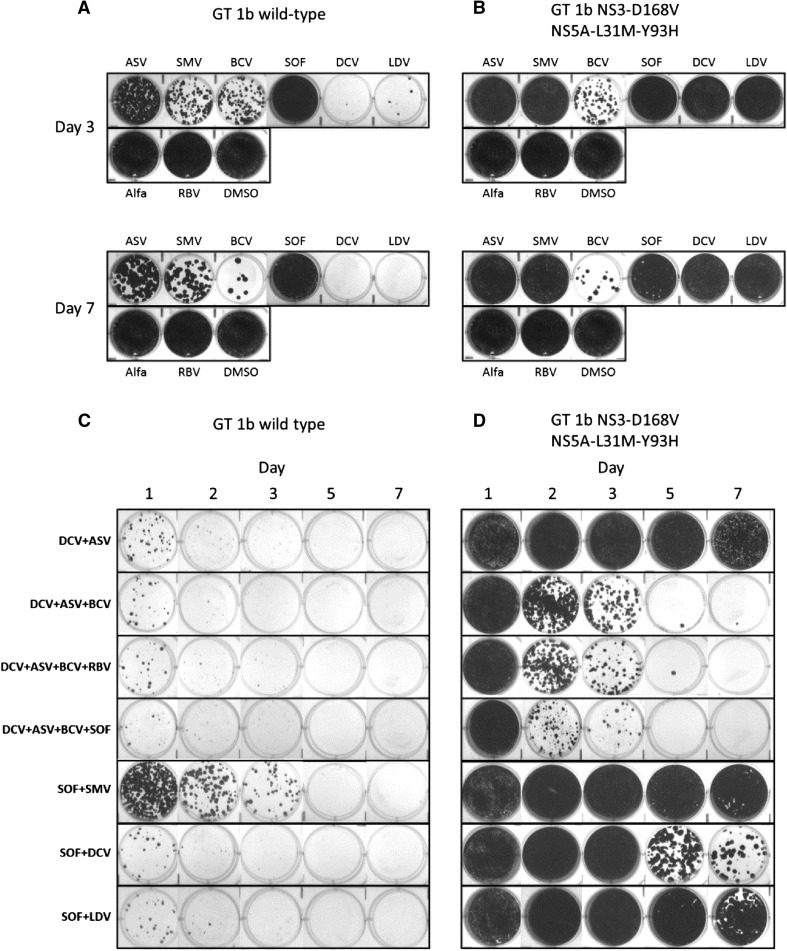 Fig. 2