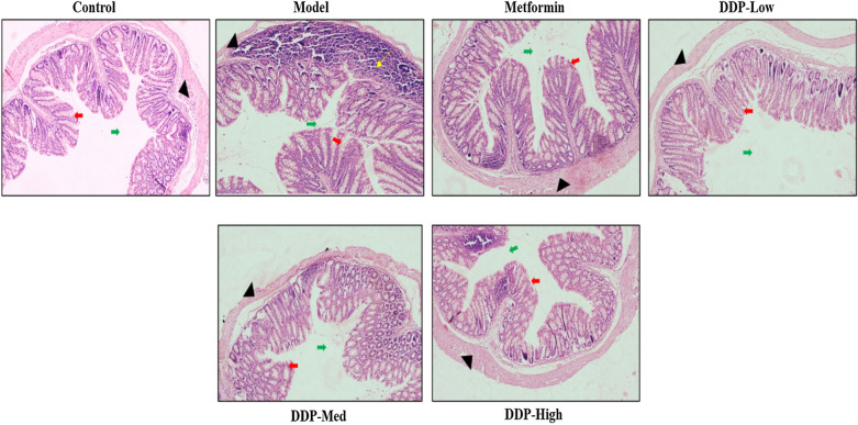 Fig. 9