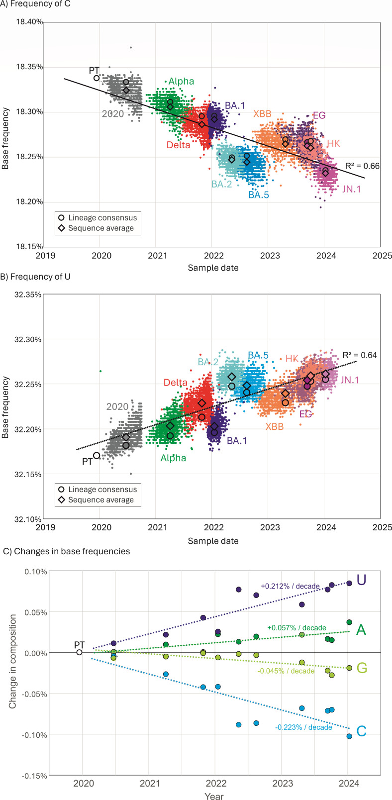 Three plots tracking nucleotide frequency changes in SARS-CoV-2 over time: decreasing C frequency, increasing U frequency, and base frequency changes for U, A, G, and C, highlighting evolutionary trends across various variants from 2020-2024.