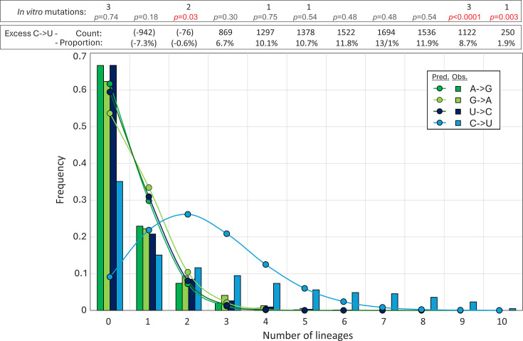 Chart depicts frequency distribution of in vitro mutations across various lineages, focusing on different mutation types (A→G, G→A, U→C, C→U). Lines represent observed data, and bars reflect predicted mutations.