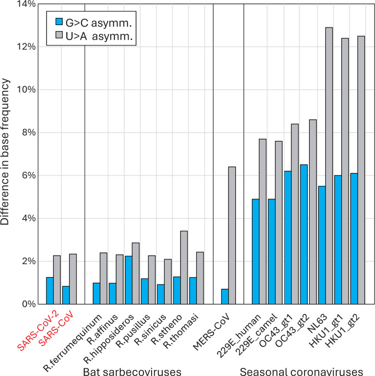 Bar chart compares G-to-C and U-to-A asymmetry in base frequencies across various coronaviruses, including SARS-CoV-2, bat sarbecoviruses, MERS-CoV, and seasonal coronaviruses. Seasonal coronaviruses show greater base asymmetries.