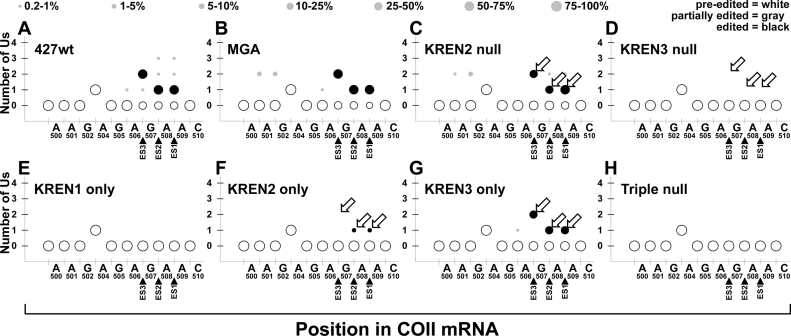 Figure 11.