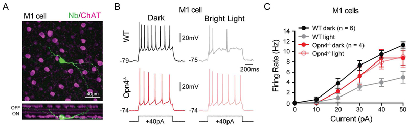 Figure 6.