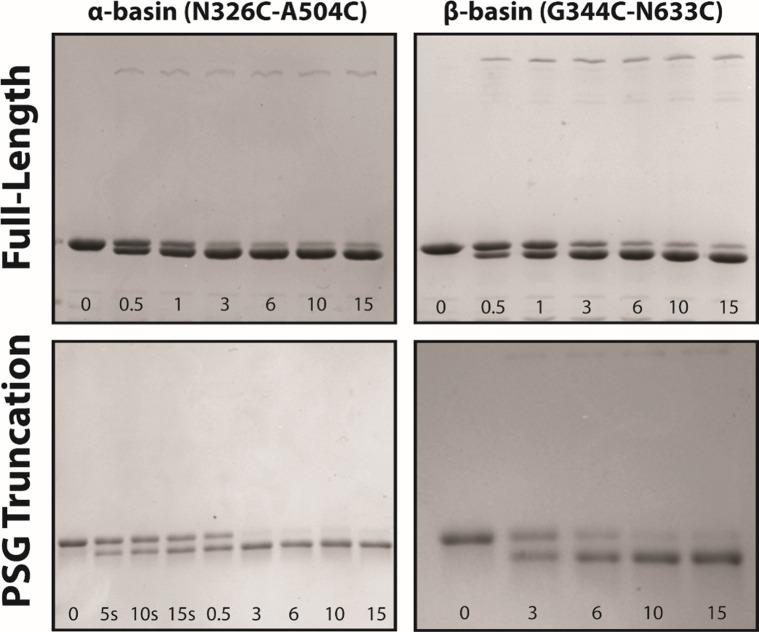 Figure 7—figure supplement 1.