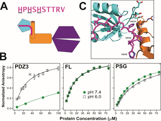 Figure 10.