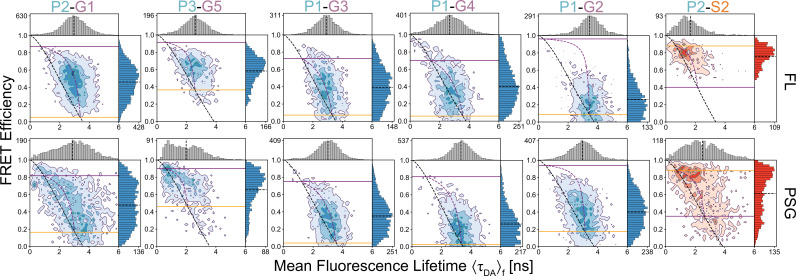 Figure 4—figure supplement 2.