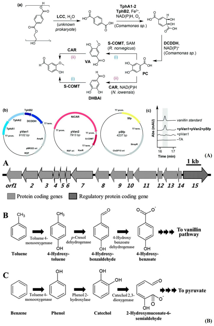 Figure 13