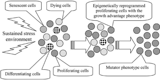 Fig. (1)