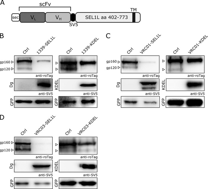 FIG 1