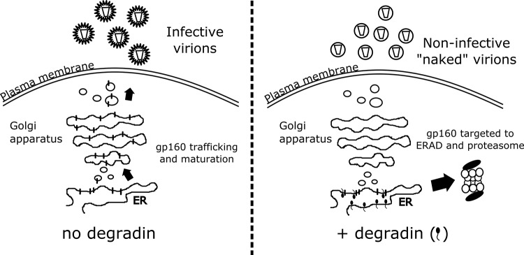 FIG 4