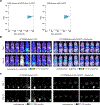 Extended Data Fig. 8 |