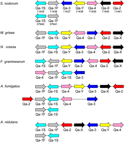 Figure 5.