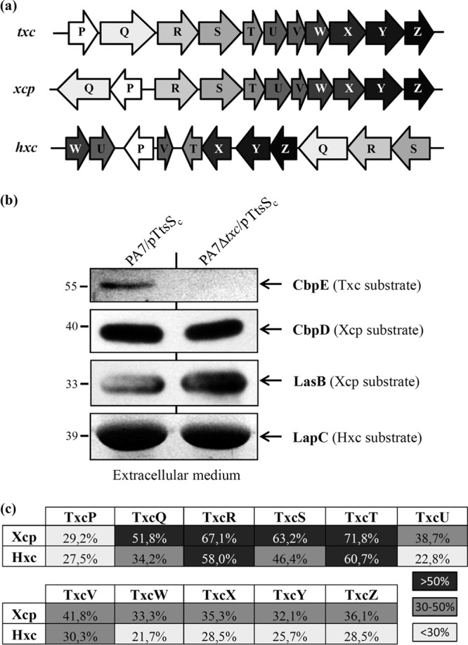 FIG 6