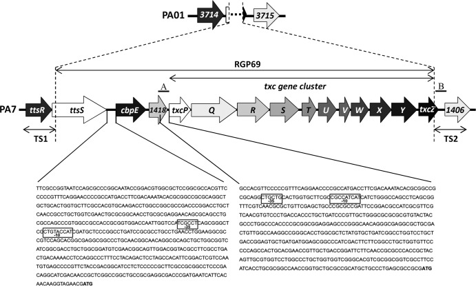 FIG 1