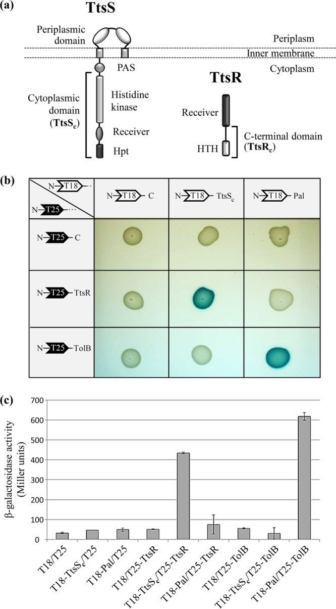 FIG 2