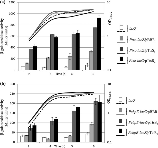 FIG 3