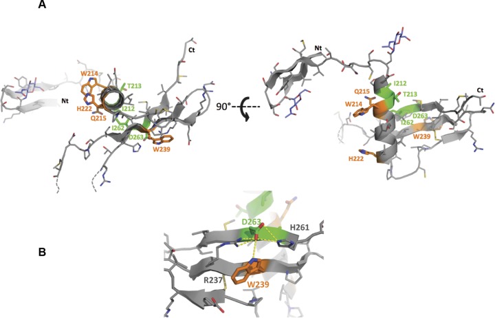 FIG 11