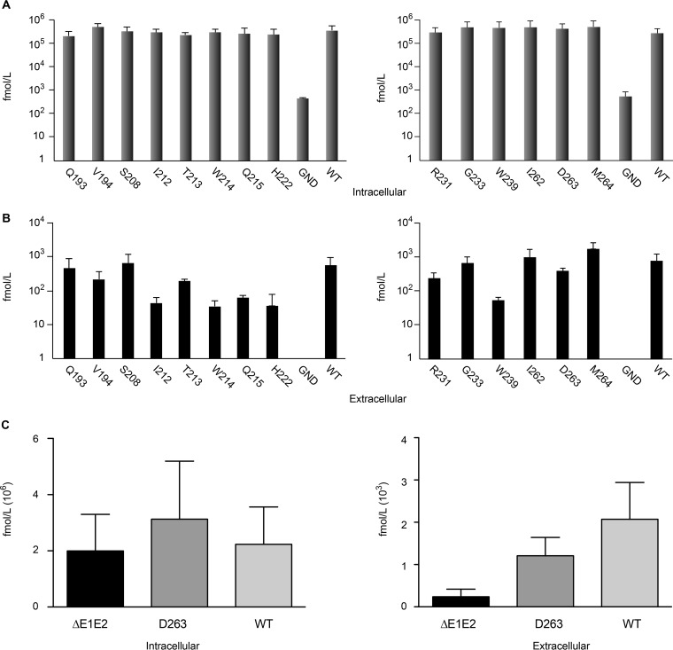 FIG 3